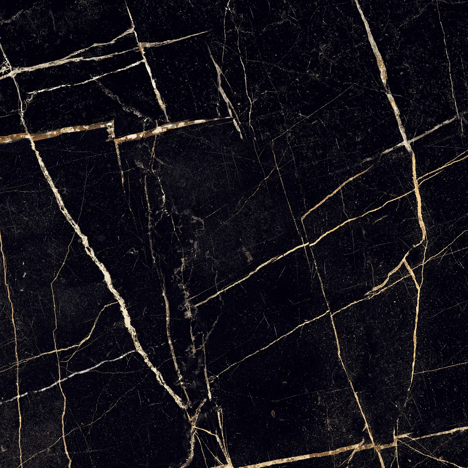 EXT Marquina Shiny 60x60 2